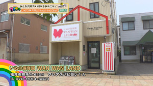 Wanwan00000000